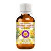 Deve Herbes Rosemary Lavender Tea Tree and Almond Oil, Ancient