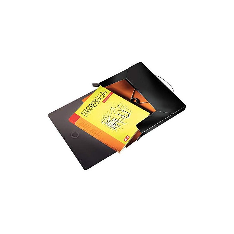Leitz Solid Storage Box Polypropylene A4 black