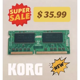 Korg 256MB SAMPLE MEMORY EXPANSION for PA2X PA3X M3