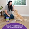 Outward Hound Nina Ottosson Puzzle Bitez Training Treats for Dogs