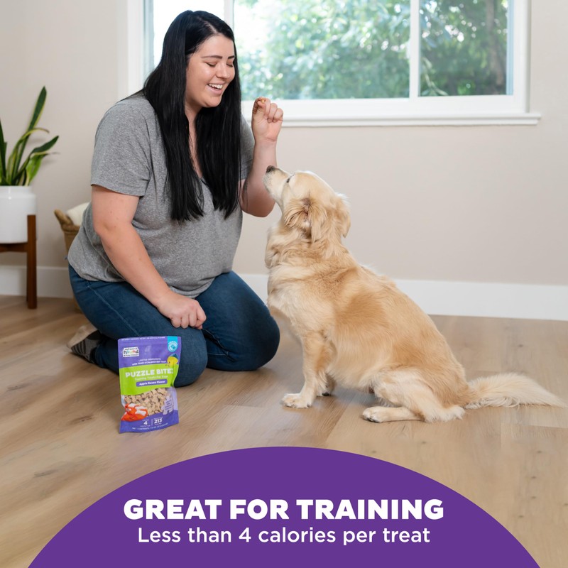 Outward Hound Nina Ottosson Puzzle Bitez Training Treats for Dogs