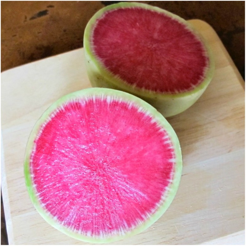 Seed Needs, Watermelon Radish (Raphanus sativus) Twin Pack of 500