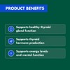 Nature's Own Kelp 1000Mg 200 Tablets
