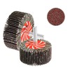 TOVOT 24PCS Mounted Flap Wheels Assortment Kit with 1/4" Mandrel