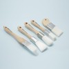 5-Piece Detail Paint Brush Set with Assorted Paint Brushes for