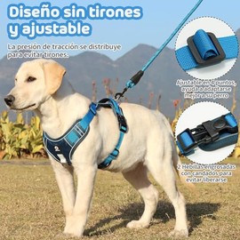 MESVIER Arnés para Perro Chico Mediano Grande con Correa 1.5m, Pechera para Perro Ajustable Reflectante Transpirable, Arneses para Perros Sin Tirones para Caminar Viajar Entrenar Perros Accesorios