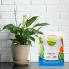Peace Lily Potting Soil Mix (2 Quarts), for Planting, Growing,
