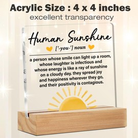 Thank You Gifts for Women Men Coworkers Employees Boss, Inspirational Sunshine Gifts for Women, Human Sunshine Acrylic Desk Plaque Sign Office Decor 4 x 4 Inches