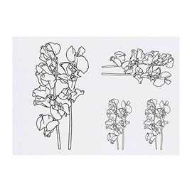 4 x 'SweetPea Flower' Temporary Tattoos - Water Resistant, Skin-Safe, Non-Toxic Transfers, Mixed Sizes (TO00058834)