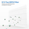 ProHEPA 9000 Replacement Filter for VEVA ProHEPA 9000 Air Puri