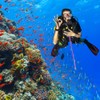 cardyven Diving Stick Pointer, Scuba Diving Aluminum Alloy Tickle Pointer