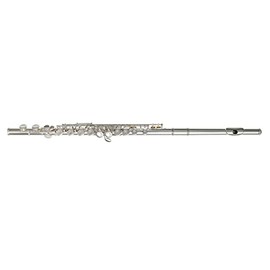 Apollo Flute with C foot, complete with case and accessories (Silver-Plated