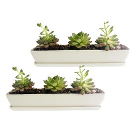 WISH HALLY WOOD 11inch long rectangle White Ceramic Succulent Planter Pot,Mini Flower Plant Containers with Ceramic Saucers. Product size:11x2.36x1.88inch,not include The plant. (2)