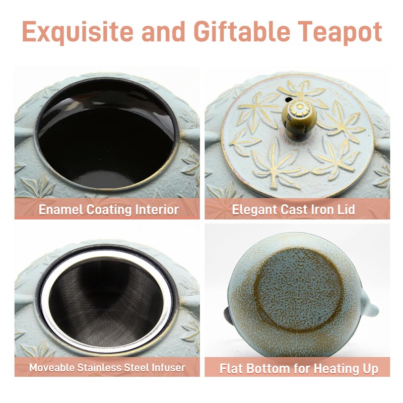 SECHUDO Cast Iron Teapot Tea Kettle with Stainless Steel Infuser