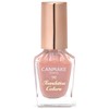 Canmake Foundation Colors 06 Sheer Apricot 8ml Nail Foundation Quick