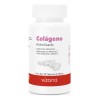 Vizana Nutrition Colágeno Hidrolizado 90 Caps-500 Mg