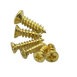 BGTXINGI 1200pcs 6 Kinds M2 M2.5 Gold-Plate Carbon Steel Flat Head Self Tapping Screw Stainless Cross Recessed Pan Head Screw Assortment Kit Collected in A Convenient Case