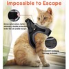 Cat Harness for Walking Escape Proof 2 Pack, Lightweight Kitten