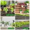 Solar Drip Irrigation System for Garden Automatic Drip Irrigation Kits