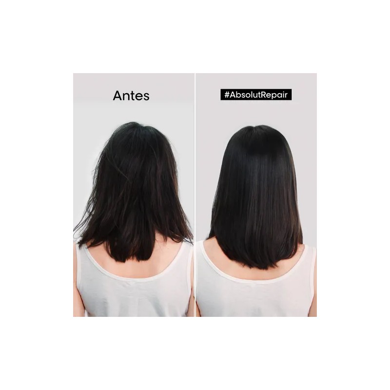 Mscara Cabello Daado 250ml Loral Professionnel