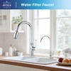 Avola Stainless Steel Kitchen Water Filter Faucet in Chrome, Non-Air