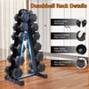 6-Tier Dumbbell Rack Stand for Home Gym - Heavy Duty