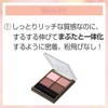 excel Skinny Rich Eye Shadow SR10 (Peony Brown) Palette Eyeshadow