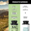 Beyond Vitamins Nac Acetil Cisteína 600mg Ultra Inulina Agave Acetyl
