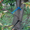 DVECUE Branch Limb Spreaders for Fruit Trees Apple Tree Limb