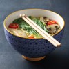 Typhoon World Foods Stoneware Noodle Bowl With Chopsticks