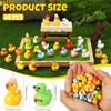 GSrenyu 40 Pcs Mini Ducks 40 Styles Tiny Resin Ducks
