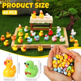 GSrenyu 40 Pcs Mini Ducks 40 Styles Tiny Resin Ducks Figurines