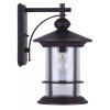 Patriot Lighting 13" Oil Rubbed Bronze Outdoor Wall Light Clear