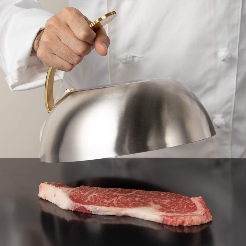 Endo Shoji PST15024 Commercial Round Steak Cover, 9.4 inches (24