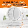 Cheer Collection 9 inch Compostable Divided Paper Plates - 100%