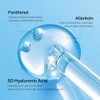 DIVE-IN Low Molecule Hyaluronic Acid Serum 50ml / Made in