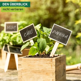 Windhager Stick-on Labels with Chalkboard, Plant Labels, Plant Stakes, Wooden Plant Signs, Pack of 10, 7.5 x 12 cm, Natural