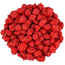 Cozy Confections Old Fashioned French Roasted Peanuts, 2 Pounds