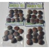 Mexicanherbs sandbox tree 10 seeds (Hura crepitans, possumwood, jabillo )