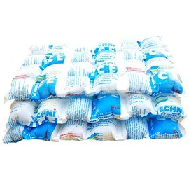 Techni Ice Heavy Duty Reusable Dry Ice pack (1 pack)
