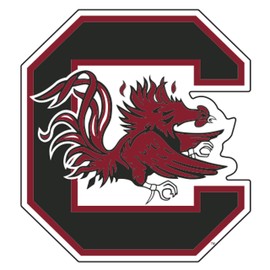South Carolina Magnet