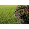 Tifblair Centipede Grass Seed (Certified) - Select Your Size -