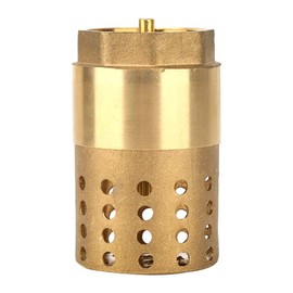 B Foot Valve 1/2 Inch Check Valve 7 x 4 x 4 Srliya B Disposable Internal Thread Foot Valve Mesh Check Valve with Holes S Filter DN25