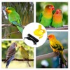 Parrot Harness and Lead, Adjustable Pet Parrot Bird Harness and