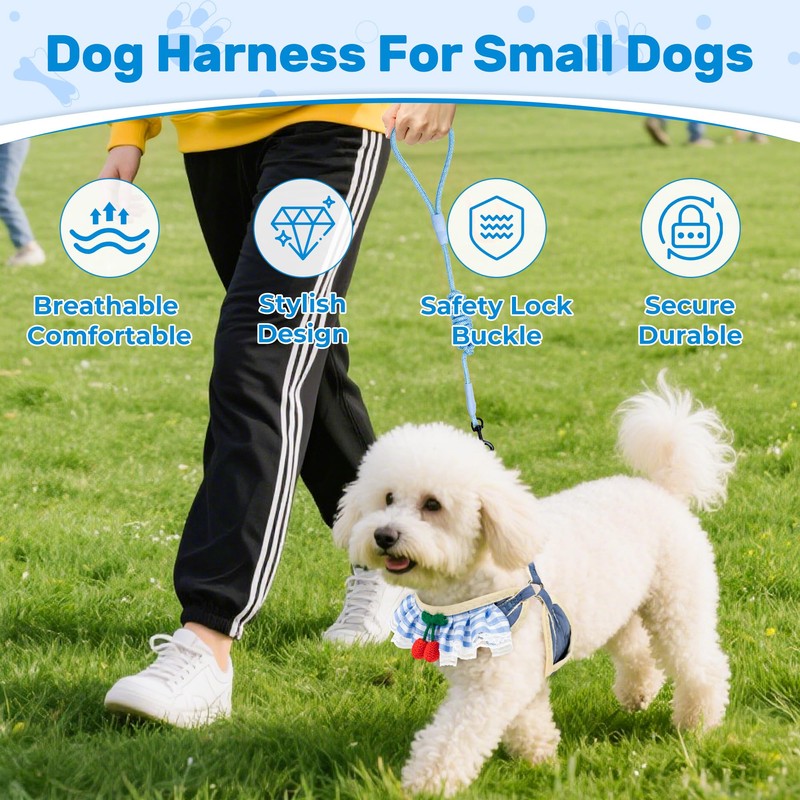 Jestrem No Pull Small Dog Harness and Leash Set