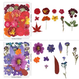 Buzidao Dried Pressed Flowers, 80Pcs Real Natural Pressed Flowers for Resin Nail Art Scrapbooking Candle Jewelry Making Real Bulk Dried Pressed Flowers Resin DIY Crafts Supplies Kit (Multi Color-5)