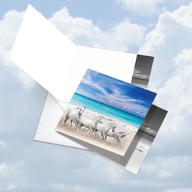 The Best Card Company - 12 Beautiful Blank Note Cards Bulk (4 x 5.12 Inch) (4 Designs, 3 Each) - Gallops and Greetings MQ5074OCB-B3x4