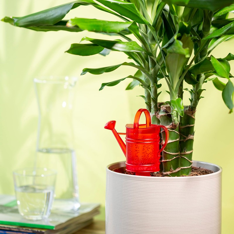 Scheurich Nelly M Plastic Water Reservoir, Colour: Nelly M, Red,