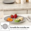 US Acrylic Everest Ultra-Durable Plastic 10 inch Dinner Plates in