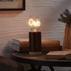 Darksteve - Cat LED Light Bulb - E26 Screw Filament